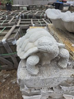 Concrete turtle