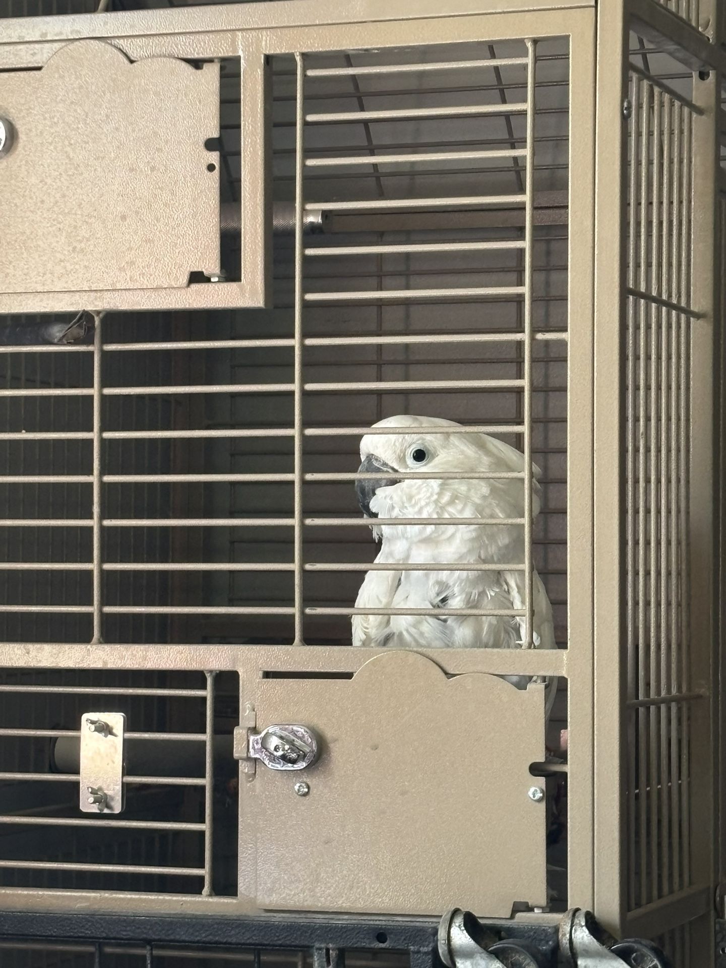 Large Bird Cage And Stand