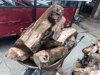 Oak firewood