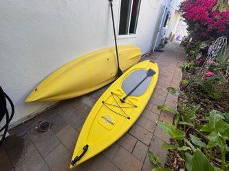 Hovie Sup Paddles Boards (2)