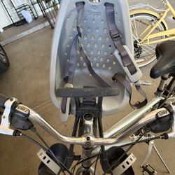 Thule Yepp Forward Facing Infant toddler Bike Seat