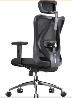 Ergonomic Office Chair
