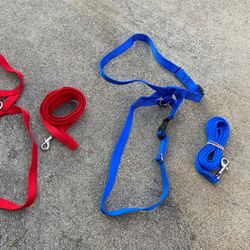 Dog Leash & Harness