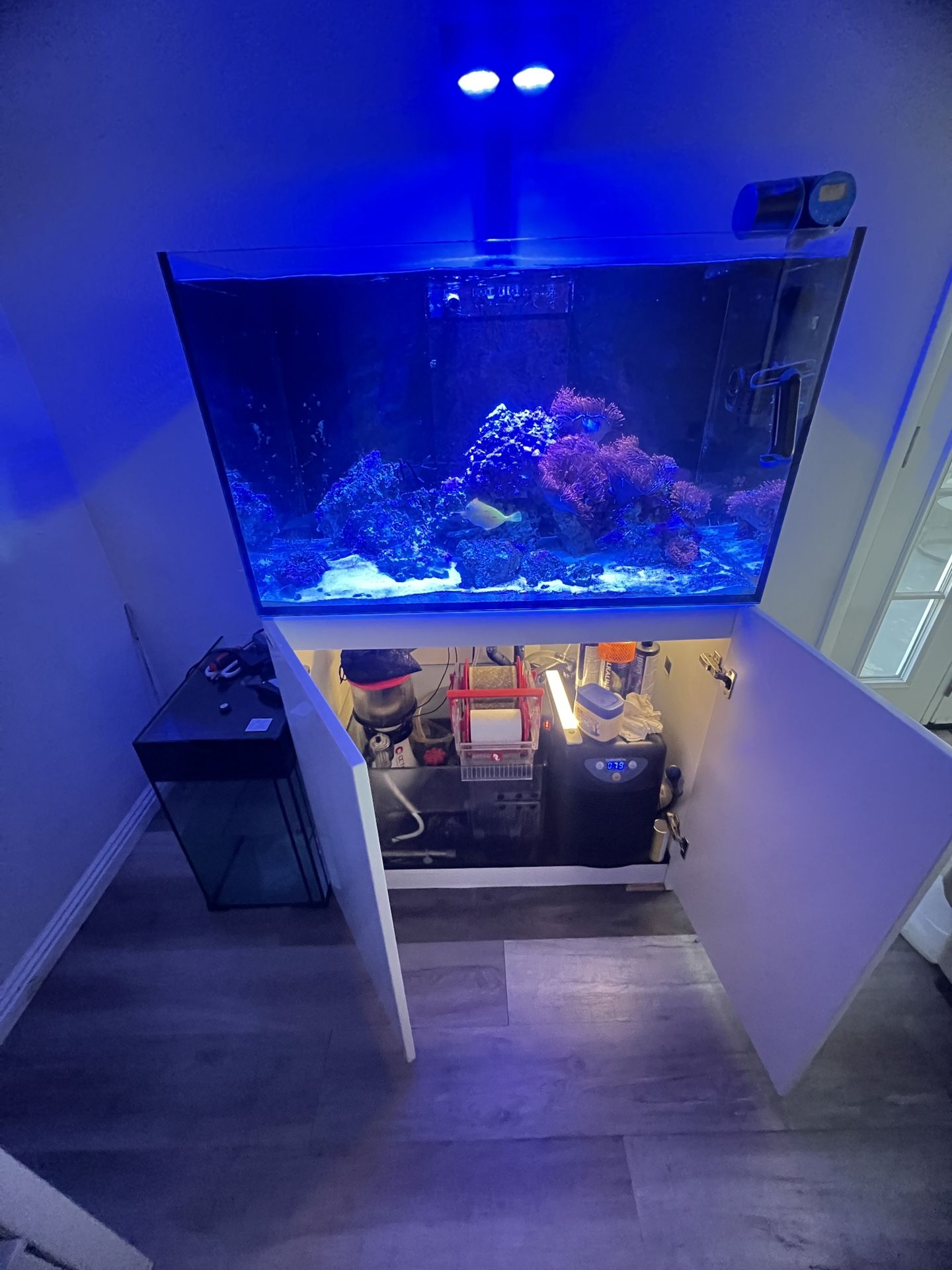 Res Sea Reefer 250 and Accessories.
