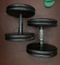 45lb weights