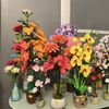 Flower and Roses, among others