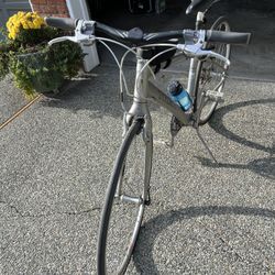 TREX Timbuk adult bike