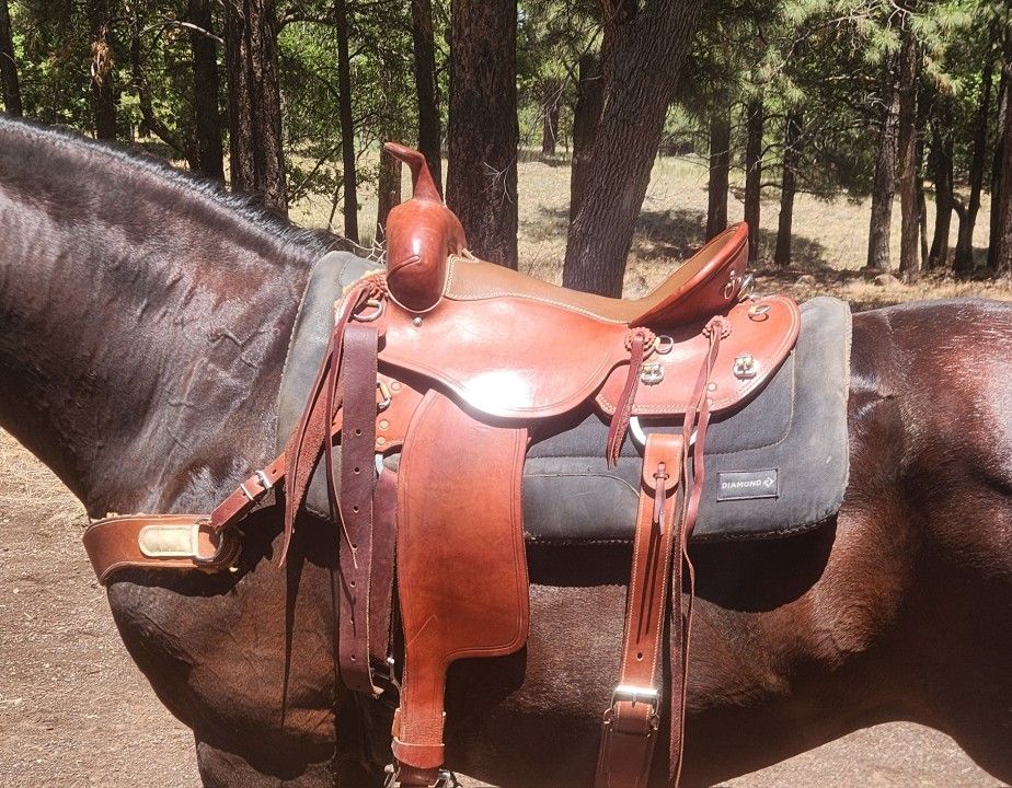 Weaver Leather 16" Saddle Package-SEE THIS WEEK ONLY!! LIKE NEW!!