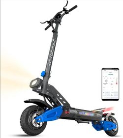Dual motor scooter