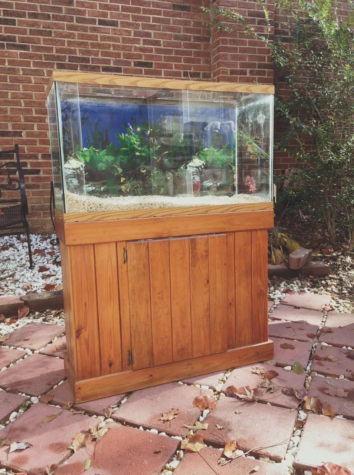 45-Gallon Aquarium with Custom Wood Stand + Crushed Coral Substrate