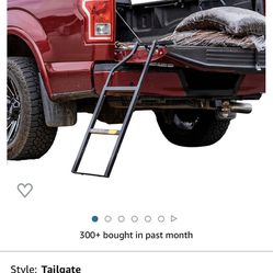 Truck Tailgate Ladder