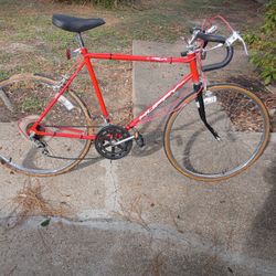 10 Speed Huffy 924 Usa Bike