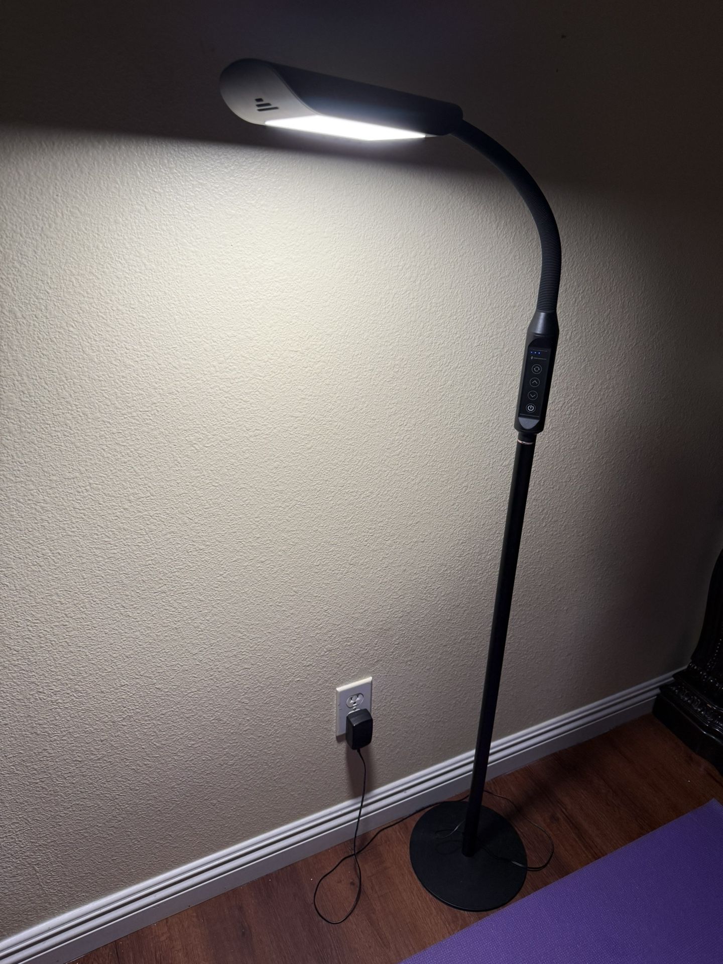 LED Floor Lamp for Living Room, 5 Colors & Brightness & Step-Less Adjustable,