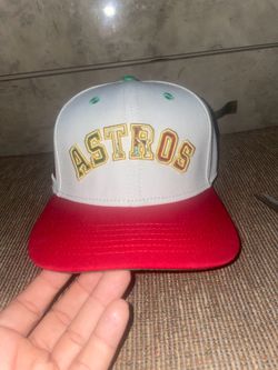 Brand New Mexico Houston astros snap back hat