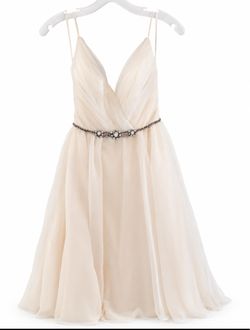 Blush by Hayley paige wedding/prom and veil