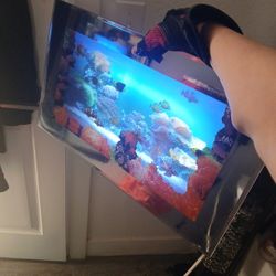 Aquarium Motion Lamp 