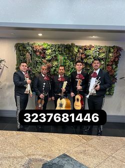 Vihuela violÃn mariachi