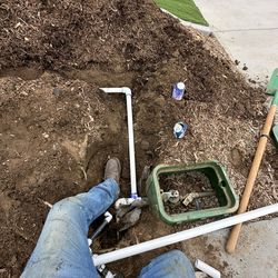 Sprinklers / Tree/ Yard