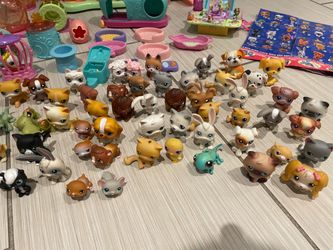 My Littlest Pet Shop Collectiom