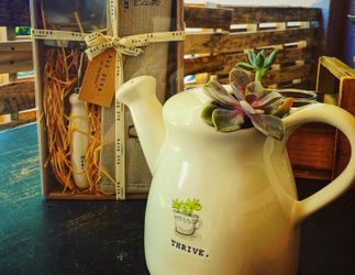 Rae Dunn Garden combo with Natural Succulents