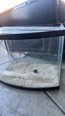 Big fish tank or reptile