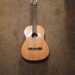 Acoustic Guitar