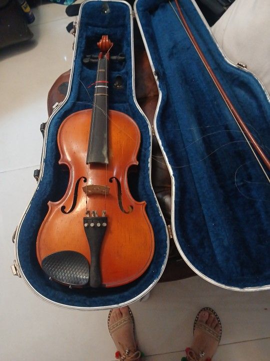 Violin