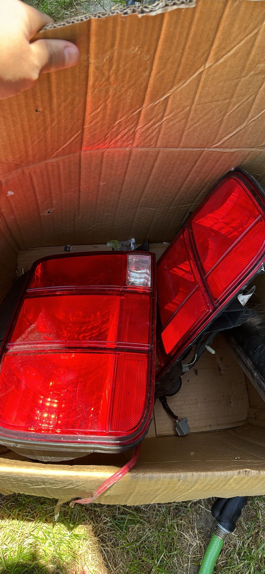 2005 Mustang Taillights 