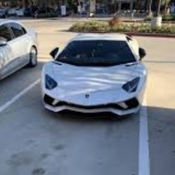 Lamborghini For Sale