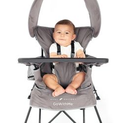 Baby Delight Deluxe Portable Chair 