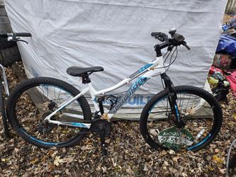 Schwinn Mountain Bike