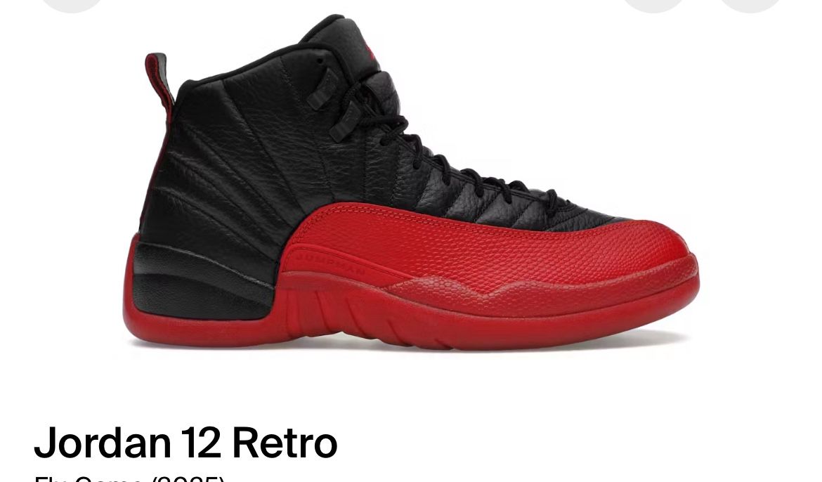 Jordan 12 Flu Game 