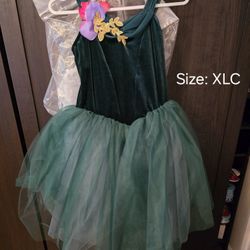 Dance Costumes