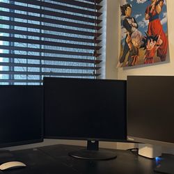 $100 For 3 Monitors 