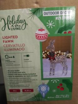 Outdoor decoration ( Lighted deer)