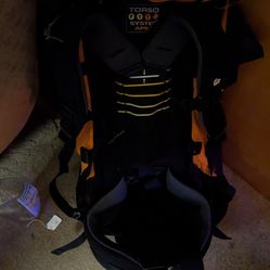 Hiking pack with torso support