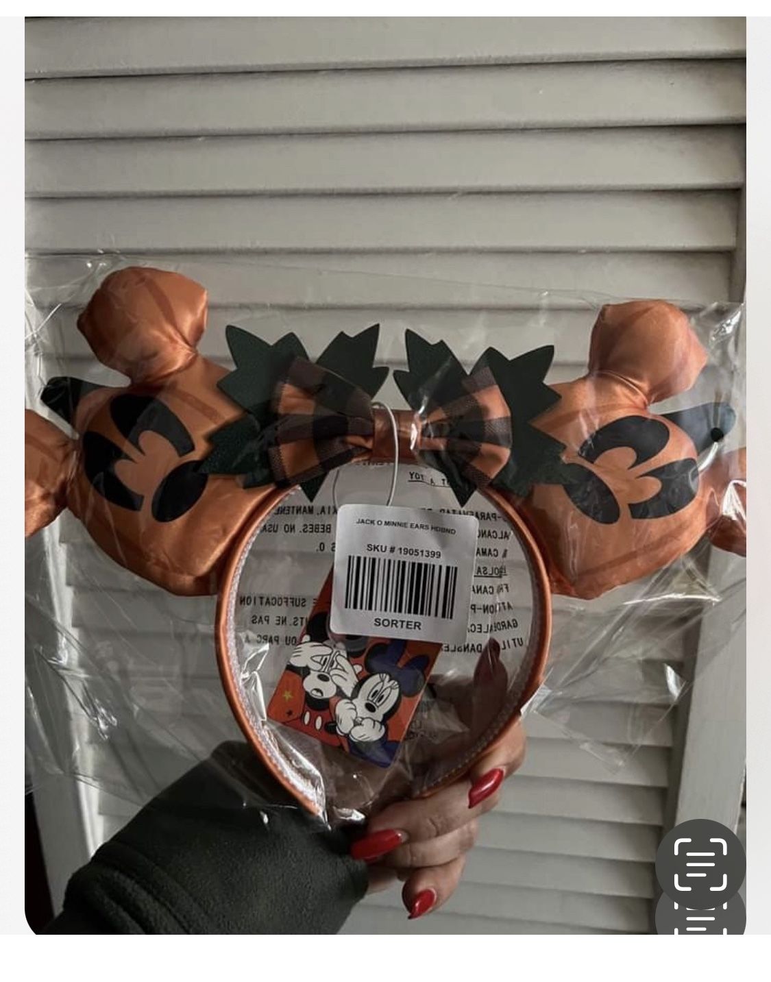 Mickey Ears
