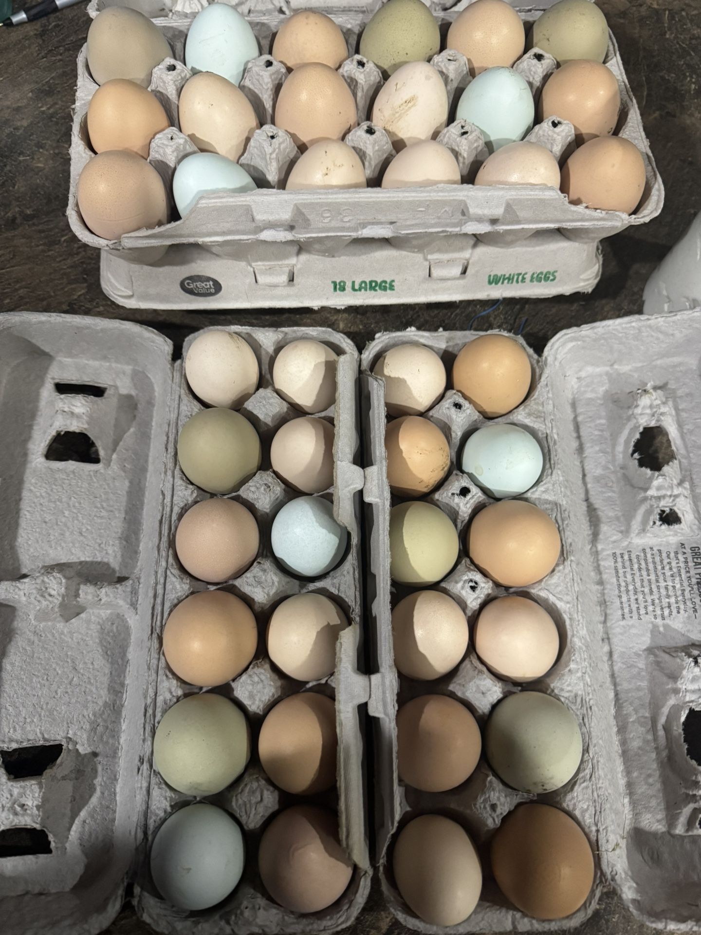 Eggs