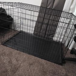 Cage For Dog  XXL And Food Bowl 