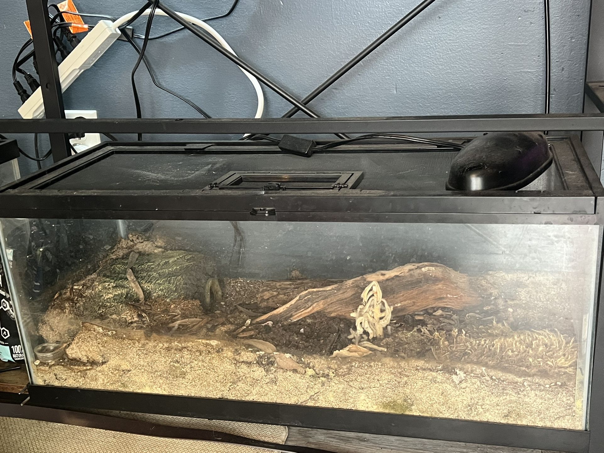 Desert Reptile Tank