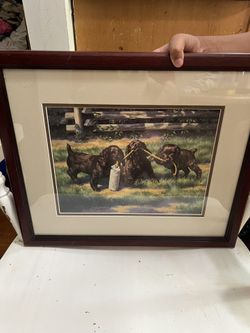 3 Chocolate Cocker Pups Holding Rope 