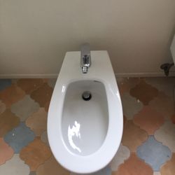 Toilet And Washlet 
