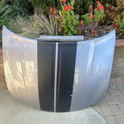 2017 Dodge Charger Hood