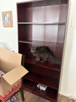 Bookshelf