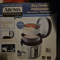 Rice Cooker & Slow Cooker 