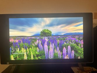 HP flat Screen Desktop Computer