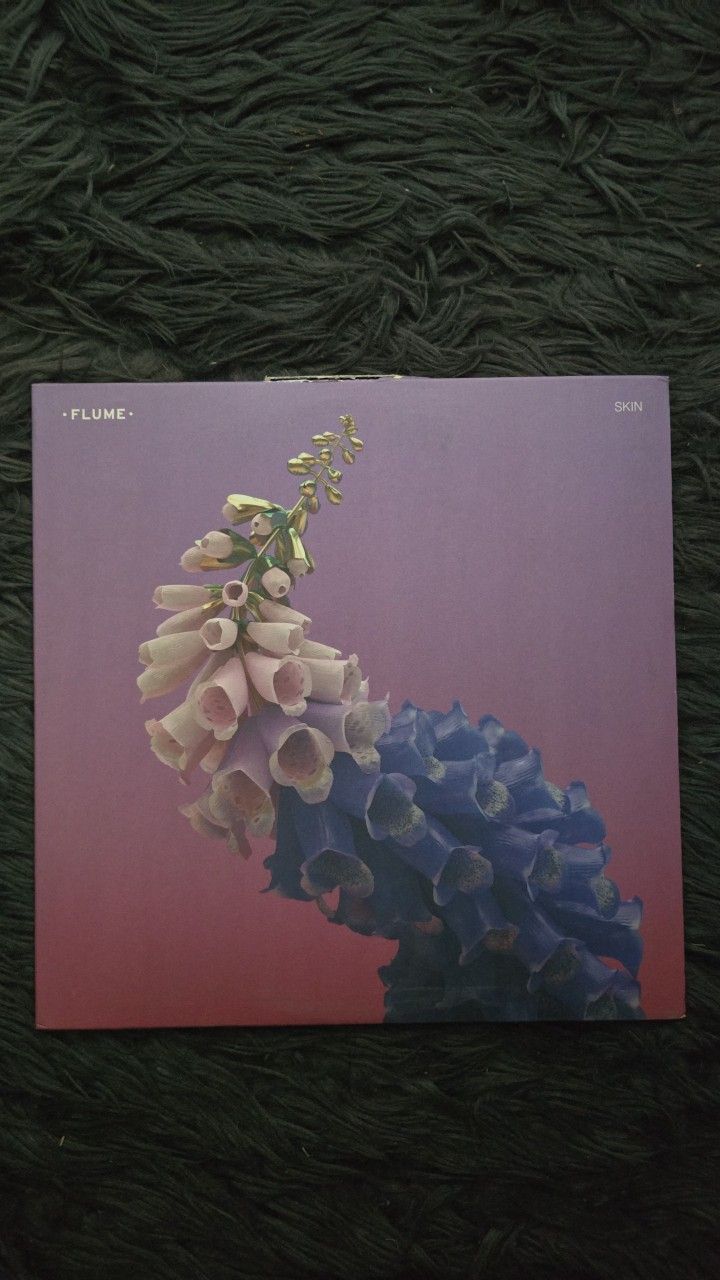Flume Skin Vinyl Record