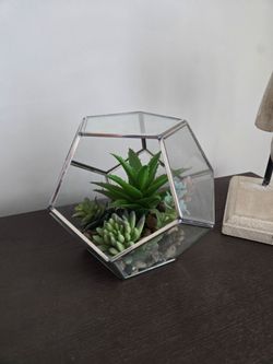 Decor, terrarium with plants