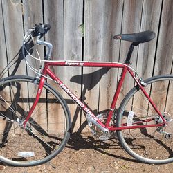 91' Restomod Diamondback Expert TG