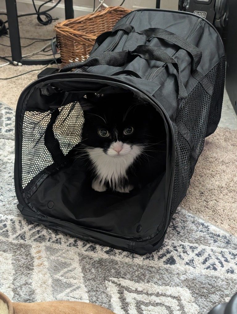 Cat Carrier